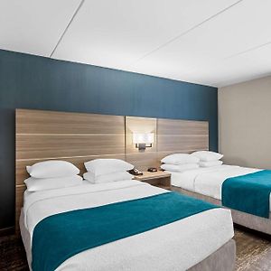 Double Room Two Double Beds Mobility Accessible Roll Shower